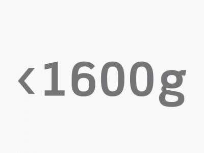bis 1600g