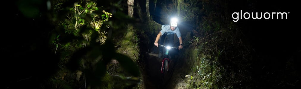 Headerbanner Hersteller Gloworm