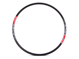 DT Swiss Rim 29" XM 421