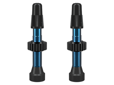 WTB TCS Presta Valve Set Aluminium 2 Pieces | 34 mm