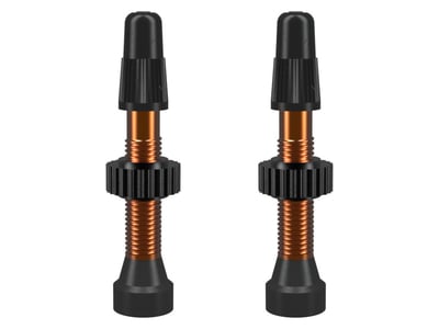 WTB TCS Presta Ventil Set Aluminium 2 Stk. | 46 mm