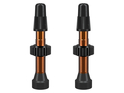 WTB TCS Presta Valve Set Aluminium 2 Pieces | 46 mm
