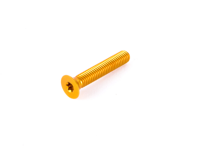 CARBON-TI Aluminiumschraube X-Cap TORX M6x35 | gold