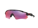 OAKLEY Sunglasses Radar EV Path Matte Black | Prizm Road OO 9208-4638
