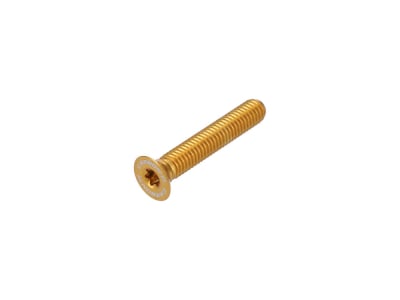 CARBON-TI Aluminiumschraube X-Cap TORX M6x35 Logo | gold