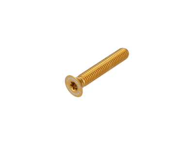 CARBON-TI Aluminum Screw X-Cap TORX M6x35 Logo gold