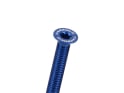 CARBON-TI Aluminiumschraube X-Cap TORX M6x35 Logo | blau