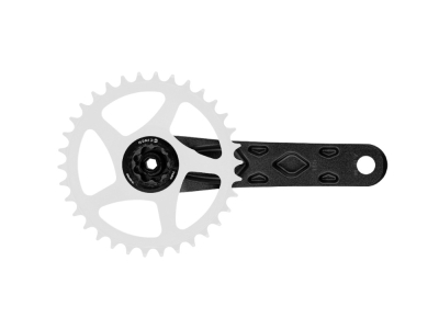 RACE FACE Kurbelarme Atlas CINCH System farbig 175 mm schwarz