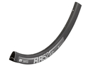 DT SWISS Felge 28" RR 521 DB Disc 32 Loch