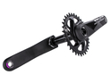 TRUVATIV Crank Stylo Carbon Eagle DUB black 1x12 | X-SYNC 2 Direct Mount chainring 32 teeth 170 mm