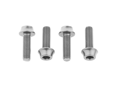 Wolf Tooth Flaschenhalter-Titanschrauben, M5x15mm, 4 STK., Raw Titanium, 4TIWBBOLT