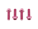 WOLF TOOTH Schrauben Set M5 x 15 mm Flaschenhalterschrauben | farbig pink