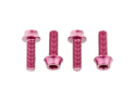WOLFTOOTH screw set M5 x 15 mm bottle cage bolts | colored pink