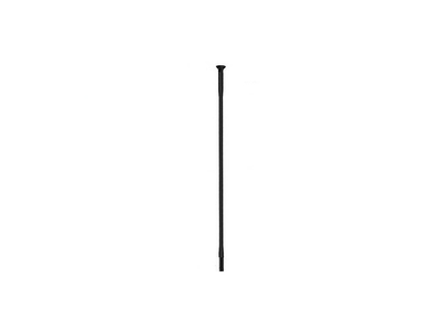 SAPIM Speiche D-Light Straightpull schwarz 298 mm