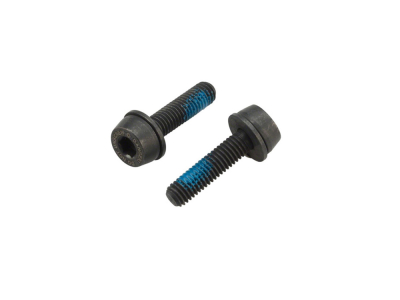 CAMPAGNOLO Screws for Flat Mount rear brake caliper | 29 mm