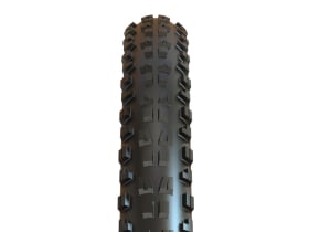 maxxis dhf maxx grip