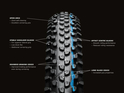 SCHWALBE Tire Racing Ray 29 x 2,25 ADDIX Performance TL-Ready