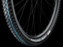 SCHWALBE Tire Racing Ray 29 x 2,25 ADDIX Performance TL-Ready