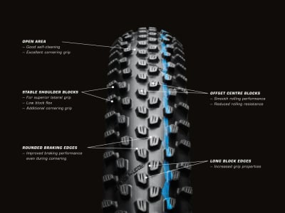 SCHWALBE Tire Racing Ray 27,5 | 650B  x 2,25 ADDIX...