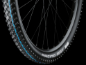 SCHWALBE Tire Racing Ray 27,5 | 650B  x 2,25 ADDIX Performance TL-Ready