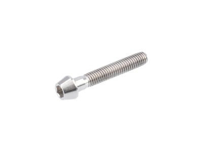 DARIMO Screw Titanium for T2 Seatpost | silver