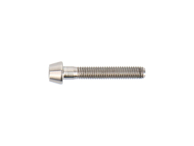 DARIMO Screw Titanium for T2 Seatpost | silver