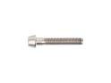 DARIMO Screw Titanium for T2 Seatpost | silver