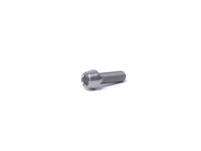 NEWMEN Titanium Screw for Evolution SL Stem M5x16 konical