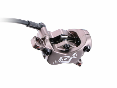 HAYES Scheibenbremse Dominion A4 | Bremse hinten