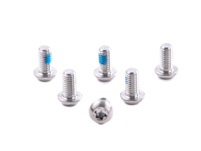 AVID Schrauben Set M5 x10 Titan für Bremsscheibe | 6 Stück