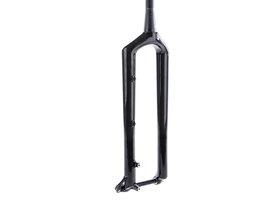 carbon boost fork