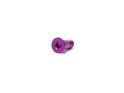 Derailleur Roller Screws Aluminium M5x14,2 | colored violet / purple