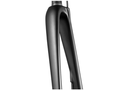 Carbon fork best sale disc brake