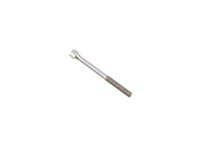 SCHMOLKE Spare Part Titanium Screw for TLO  | TLO Setback Seatpost M5 x 50 mm | rear Screw
