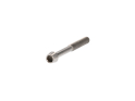 SCHMOLKE Spare Part Titanium Screw for TLO  | TLO Setback Seatpost M5 x 45 mm | rear Screw