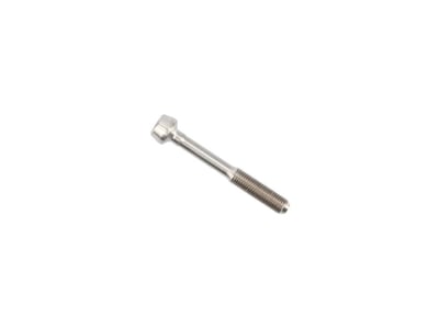 SCHMOLKE Spare Part Titanium Screw with Fine Thread for SL Seatpost M6 x 55 mm | rear Screw