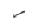 SCHMOLKE Spare Part Titanium Screw with Fine Thread for SL Seatpost M6 x 55 mm | rear Screw