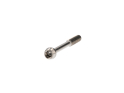 SCHMOLKE Spare Part Titanium Screw with Fine Thread for SL Seatpost M6 x 55 mm | rear Screw
