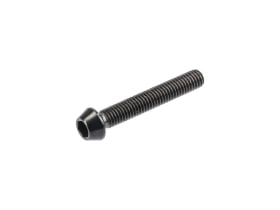 DARIMO Screw Titanium for T1 Seatpost | black