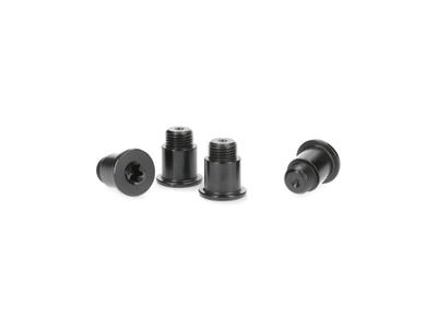 SRAM Chainring Bolts 2-speed | Force / Red / AXS, 17,50 €