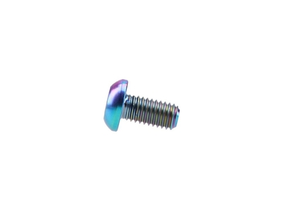 Titanium Screw M5x10 with Lens Head Torx oil slick