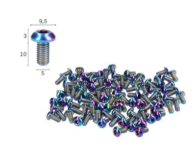 Titanschraube M5x10 mit Linsenkopf Torx oil slick