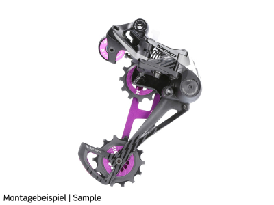LEONARDI RACING Roldana oberes Schaltwerkrllchen | 12 Zhne fr SRAM Eagle 12-fach blau