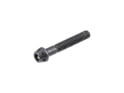 DARIMO Screw Titanium for T2 Seatpost | black rear