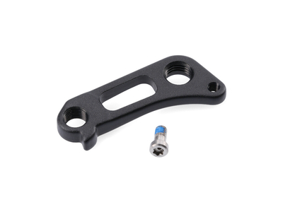 scott ransom derailleur hanger