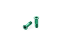 CARBON-TI Derailleur Roller Screws X-Jockey 16/16  green