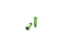CARBON-TI Derailleur Roller Screws X-Jockey 16/16  green