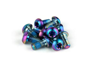 SRAM Schrauben Set rainbow M5 x10 Titan für Bremsscheibe...