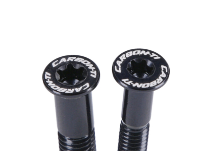 CARBON-TI Schaltwerkrllchenschrauben X-Jockey 16/19 gold