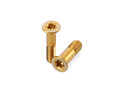 CARBON-TI Derailleur Roller Screws X-Jockey 16/19  gold